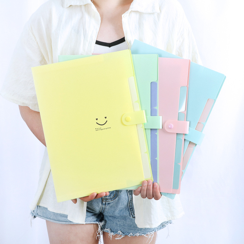 Document Organizer Folder - Kore 5 Cepli A4 Genişletilebilir Dosya