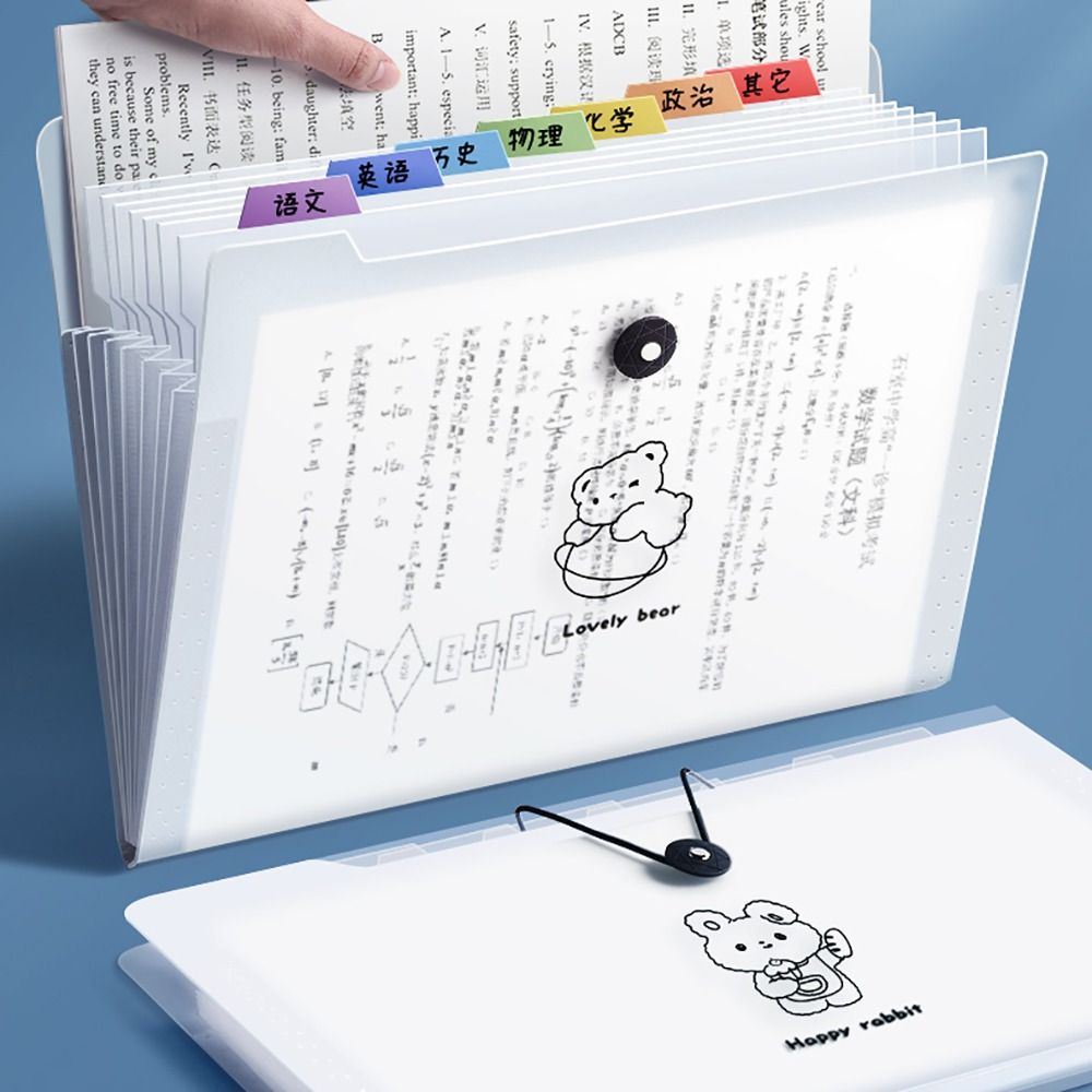 Karikatür su geçirmez A4 dosya - Document Organizer Folder incelemesi ve fiyatı