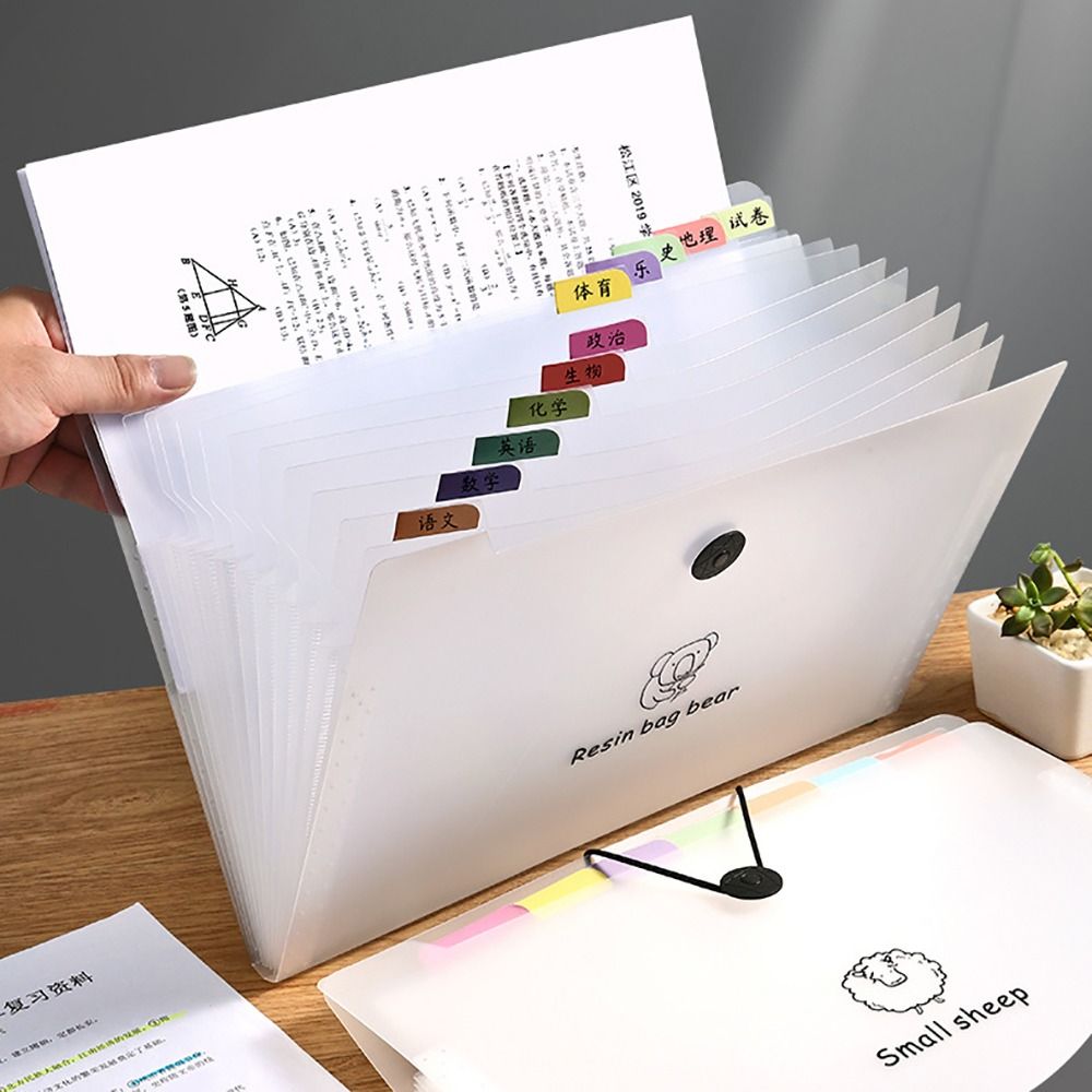 Karikatür su geçirmez A4 dosya - Document Organizer Folder incelemesi ve fiyatı